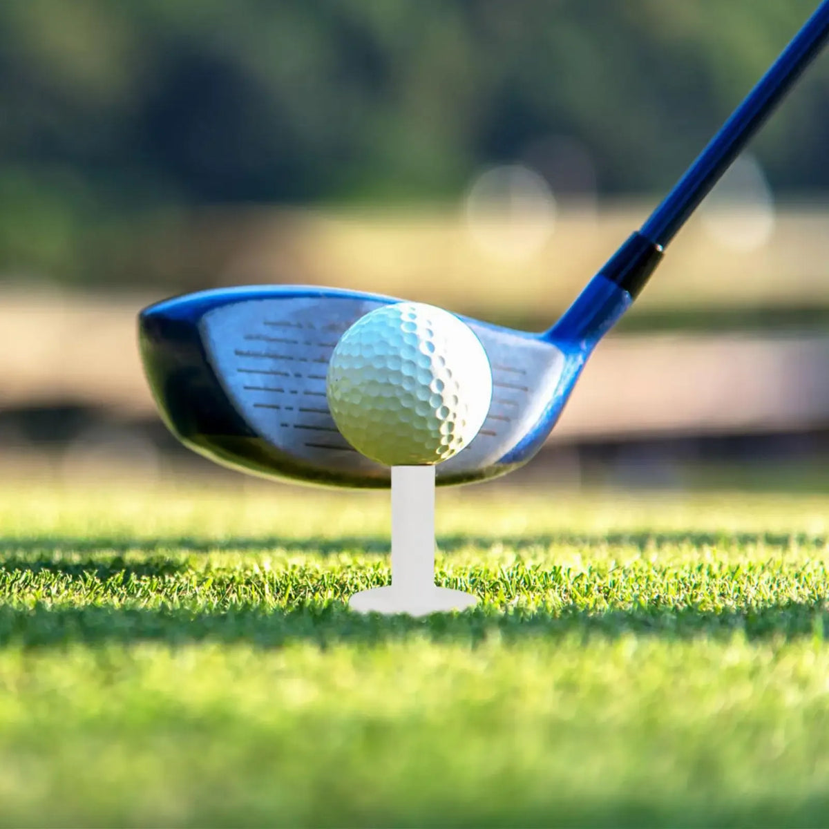 Flexible Silicone Golf Tee Set